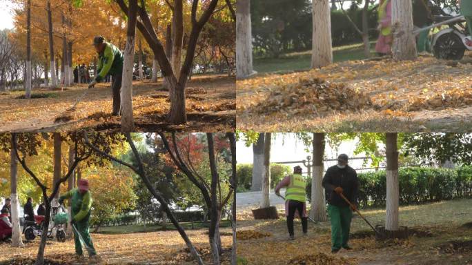 公园环境辛勤的园丁修剪树木城市守护者园林