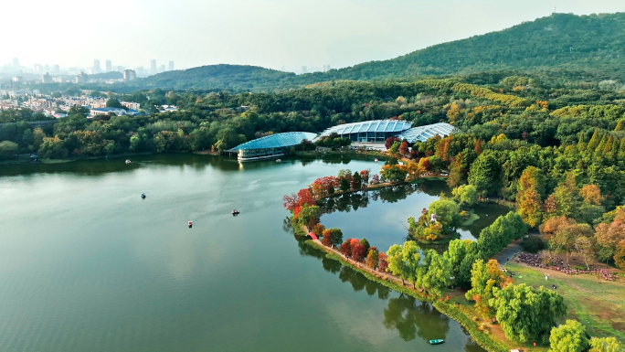 南京前湖公园中山植物园