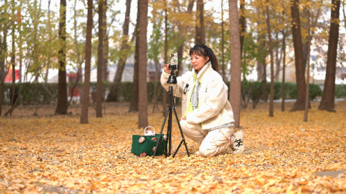 美女户外旅游直播 银杏树林手机直播