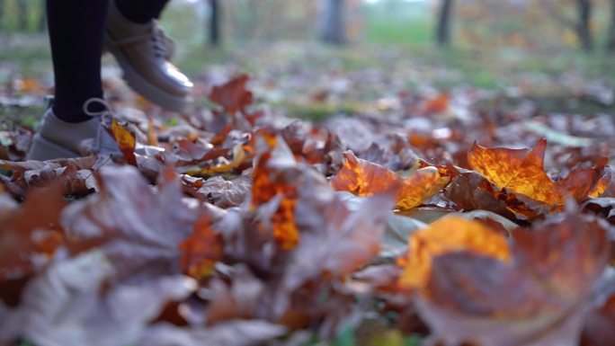 秋天踩过落叶