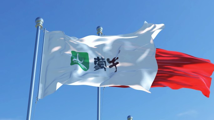 蒙牛集团旗帜