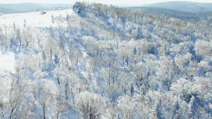 东北林海雪原航拍