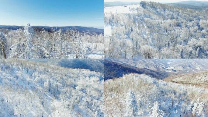 东北林海雪原航拍