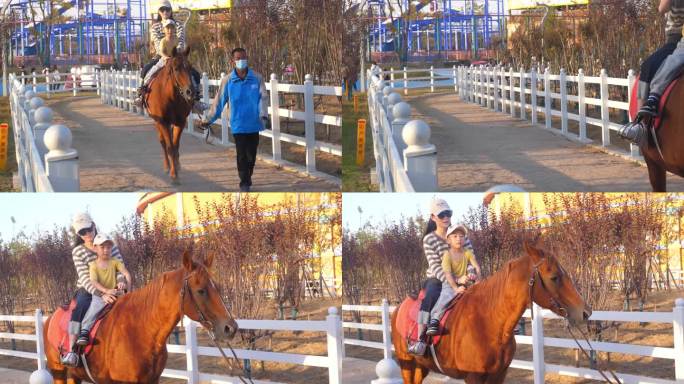 马术 骑马 马 动物园 野生动物园 赛马