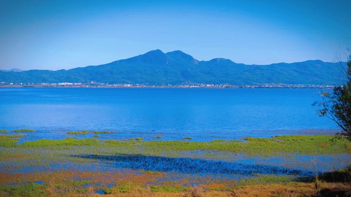 丽江拉市海秋景