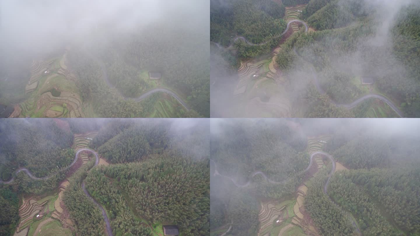 中国桂林竹林雾气穿云自然