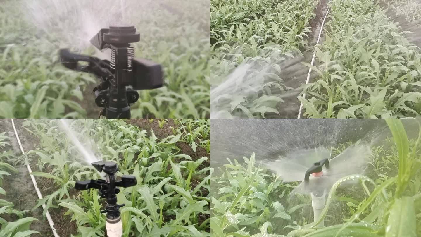 乡村庄稼自动化喷淋喷雾器喷淋自动化喷水