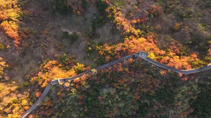 航拍秋日北京怀柔慕田峪长城