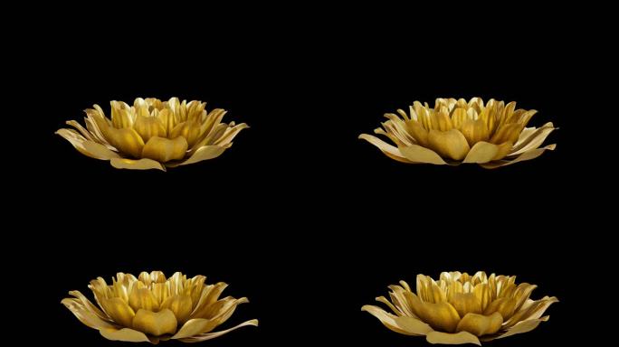金色花朵绽放背景透明大屏元素带通道