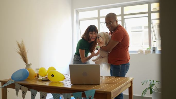 一对夫妇在家里用笔记本电脑为狗狗庆祝生日
