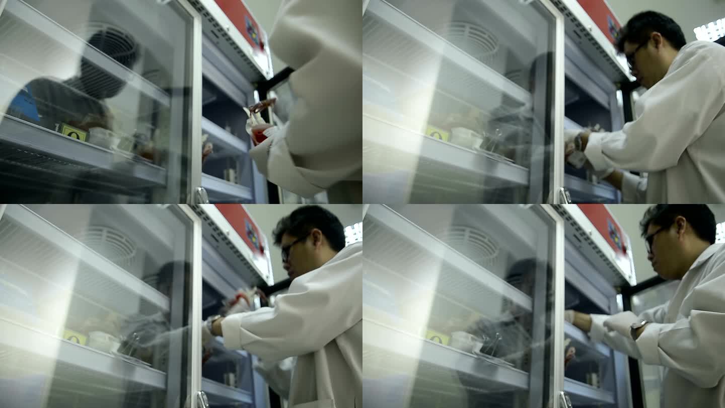 亚洲医学技术人员在实验室医院冷藏期间对血袋进行质量控制