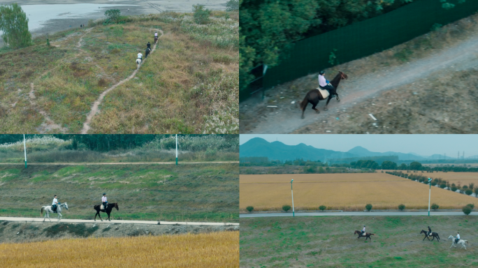 航拍三人田间野外骑马英姿飒爽马术骑行画面