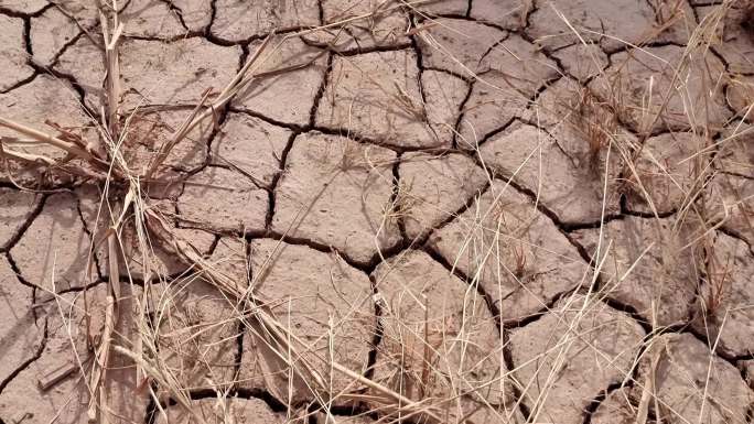 贫瘠土地干旱干裂土地 大地抗旱 旱情干枯