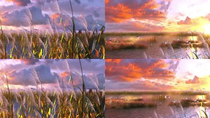 4K超宽屏芦苇湿地黄昏动画