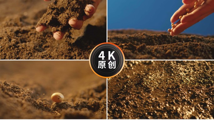 土地肥沃土壤农业播种下雨