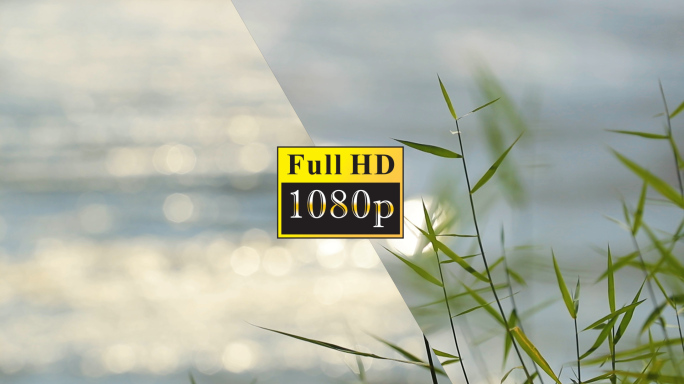 河边孤独的草【1080P】