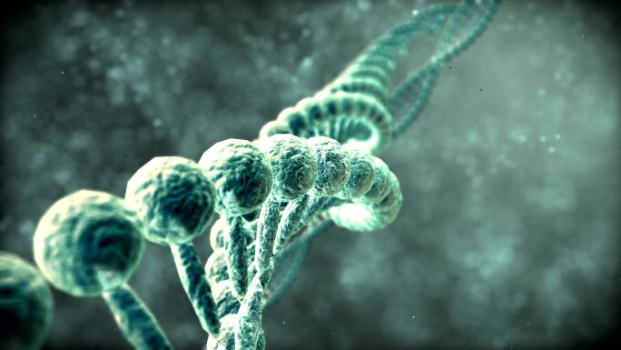 DNA螺旋DNA螺旋三维动画螺旋链结构