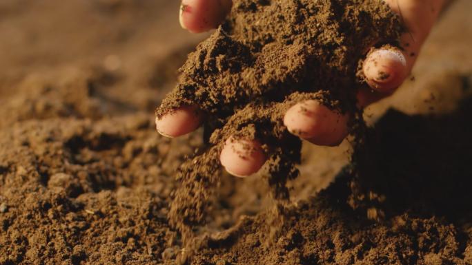 抚摸土壤检测农业黑土