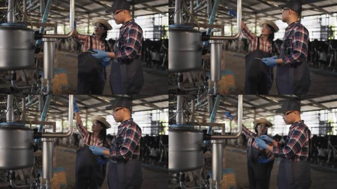 奶牛场的亚裔夫妇农民。