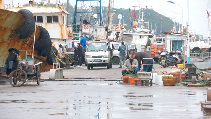 舟山渔港国际水产城渔船渔民忙碌工作