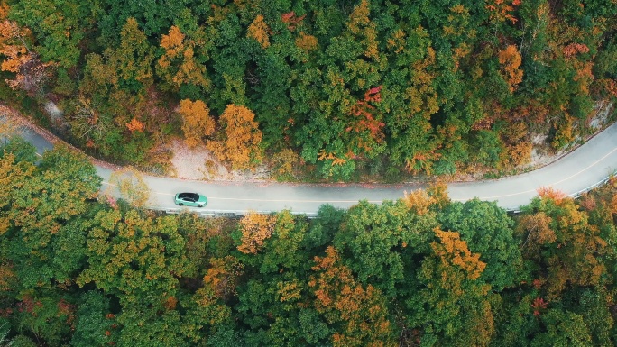 4K航拍秋天汽车穿梭行驶在大山里