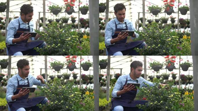 快乐的男人在花园中心一边用平板电脑一边照看植物