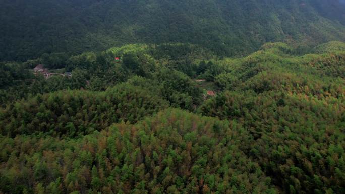 九华山闵园竹海航拍4k素材合集