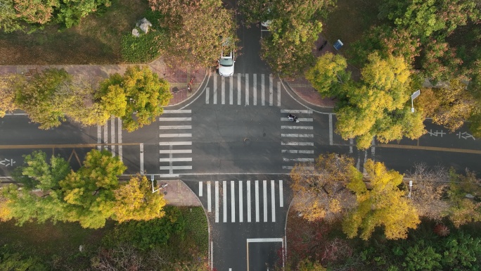 航拍 山东建筑大学