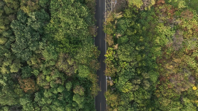 航拍 山东建筑大学 校园