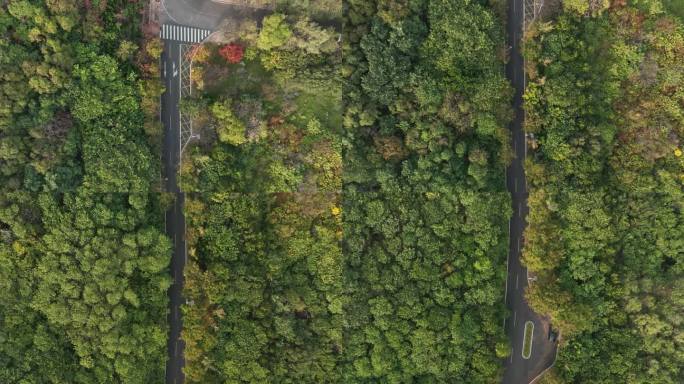 航拍 山东建筑大学 校园