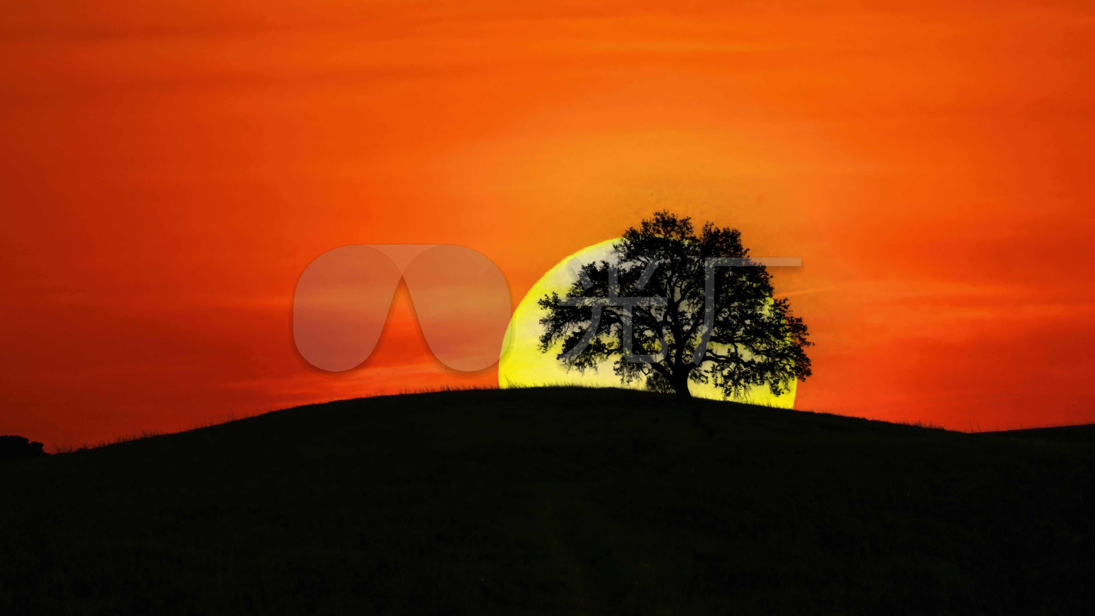 Tree Sunrise Wallpapers - Top Free Tree Sunrise Backgrounds - WallpaperAccess
