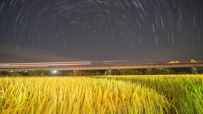 容县地标秋季稻田铁路桥段醉美星轨