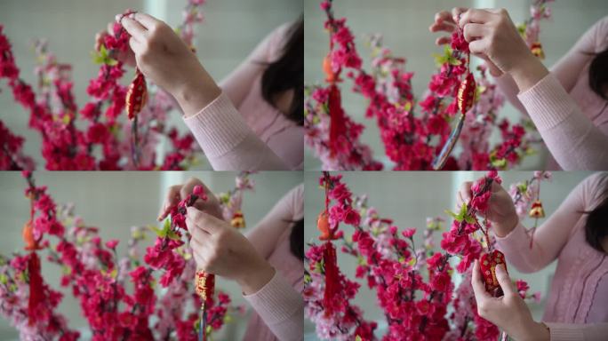 亚洲中国微笑的妇女在樱花上装饰中国新年饰品
