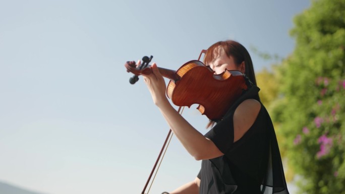 小提琴大提琴演奏视频
