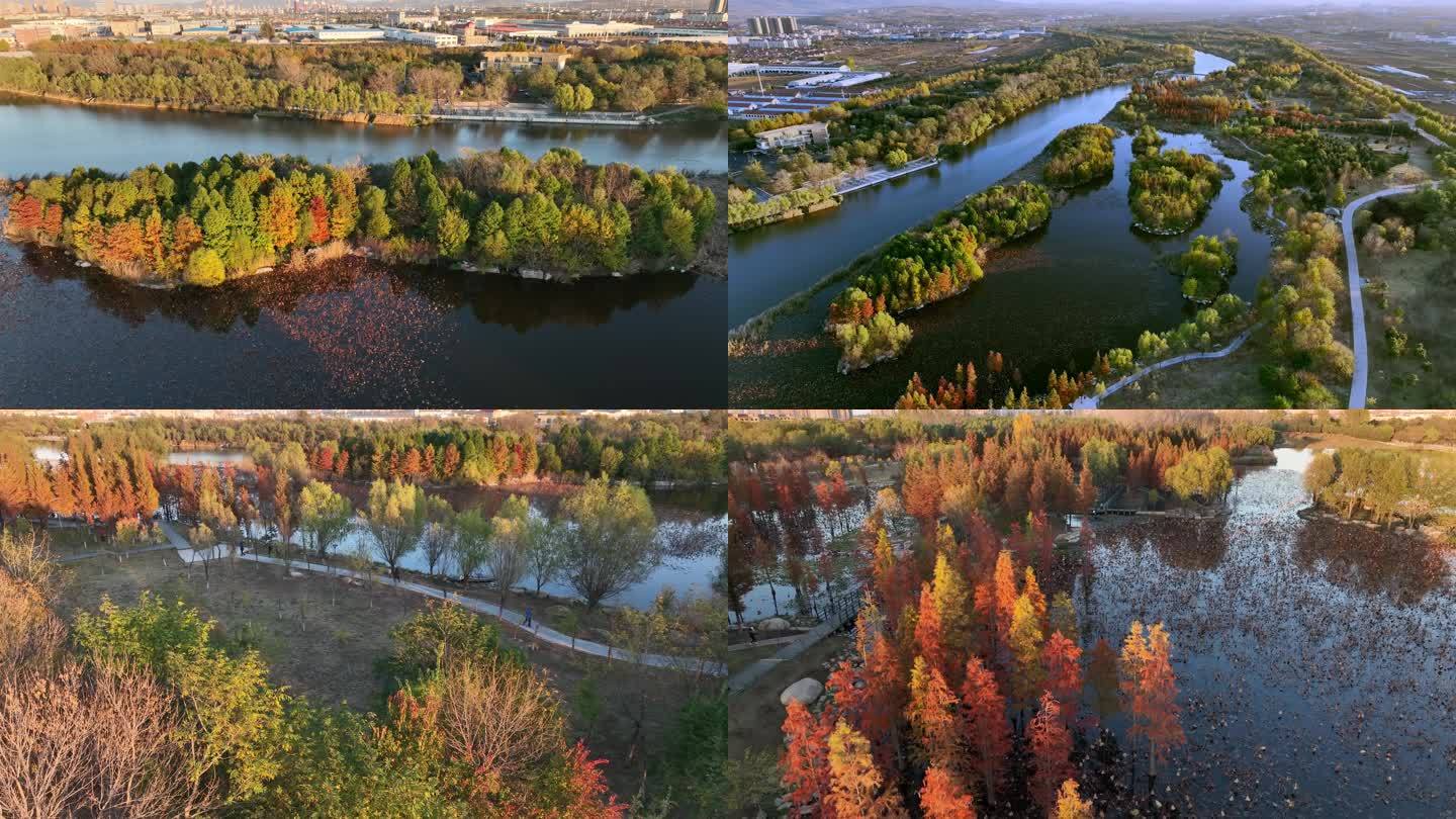 大疆御三航拍6条4K湿地公园秋天景色素材