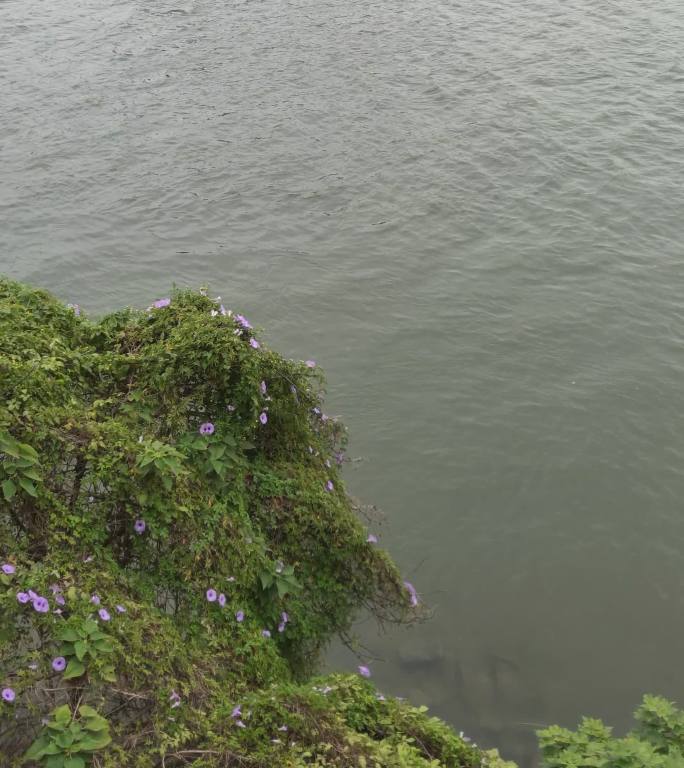 秋天湖边江边岸边水岸风景水波公路桥铁路桥