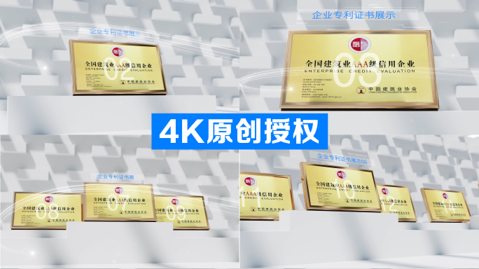 4K奖牌专利荣誉证书展示（高灰横版）