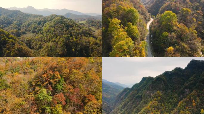 秦巴山航拍中国山脉红叶秋季山林