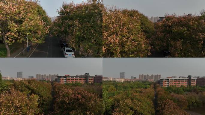 航拍 山东建筑大学