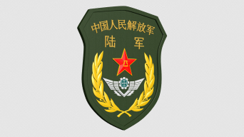 陆军臂章三维模型和透明动画