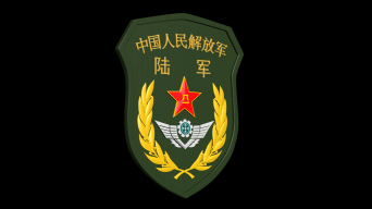 陆军臂章三维模型和透明动画3dsmax