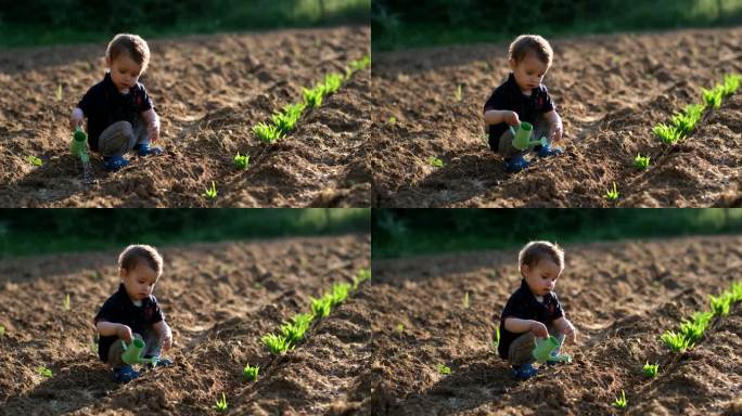 可爱的男孩用小喷壶给新植物浇水