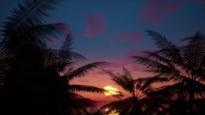 海边椰子树落日
