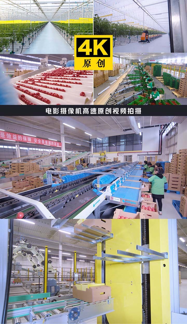 生态农产品智能农业农村科技蔬菜大棚-4K