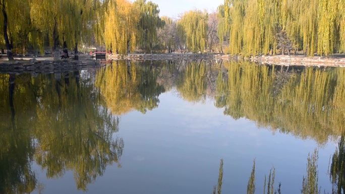 巴比伦柳园属于清澈的湖泊