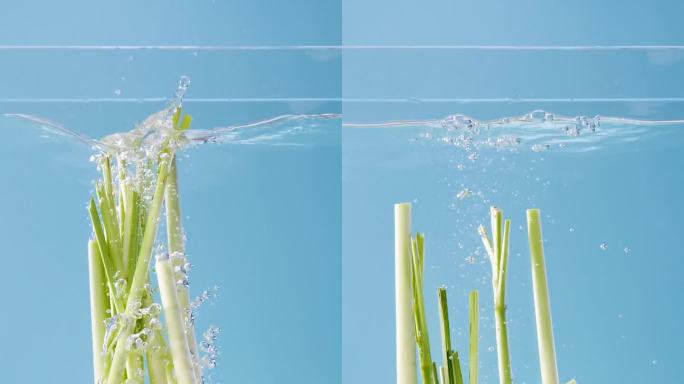 香茅草落入水中慢动作升格竖版蓝色背景