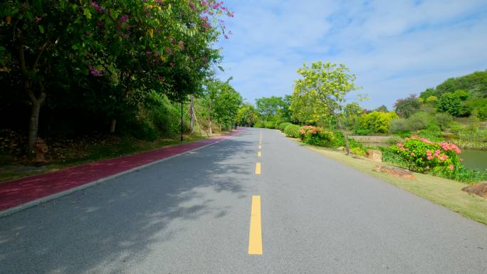 唯美乡村公路道路县道