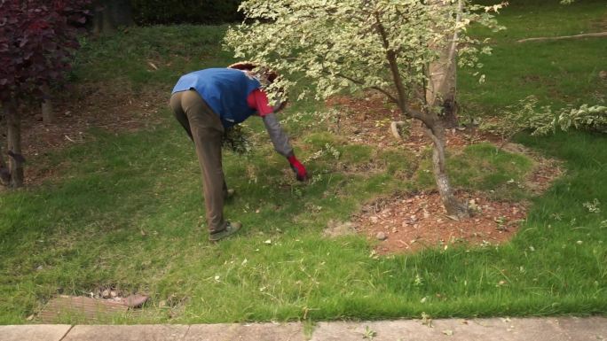 园丁 环卫工人 树枝修剪 公园环境维护