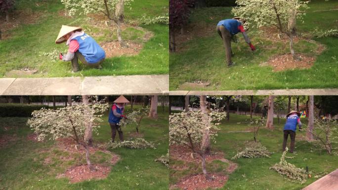 园丁 环卫工人 树枝修剪 公园环境维护