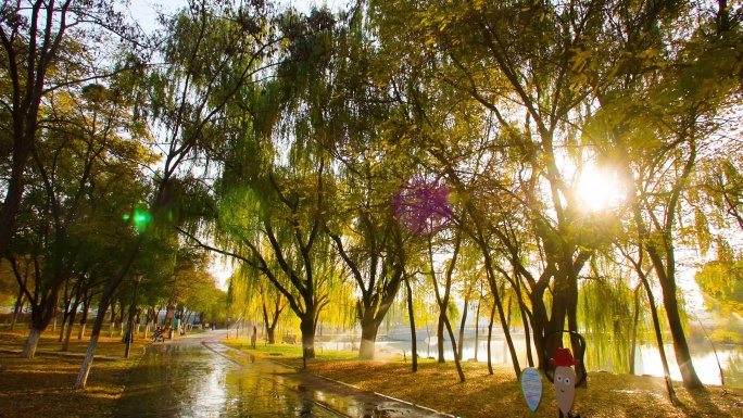 公园秋天时光-阳光穿过大树